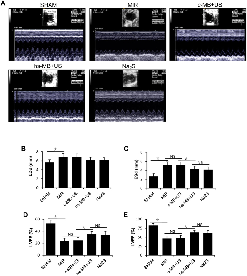 Figure 5