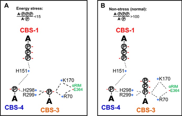 Figure 12.