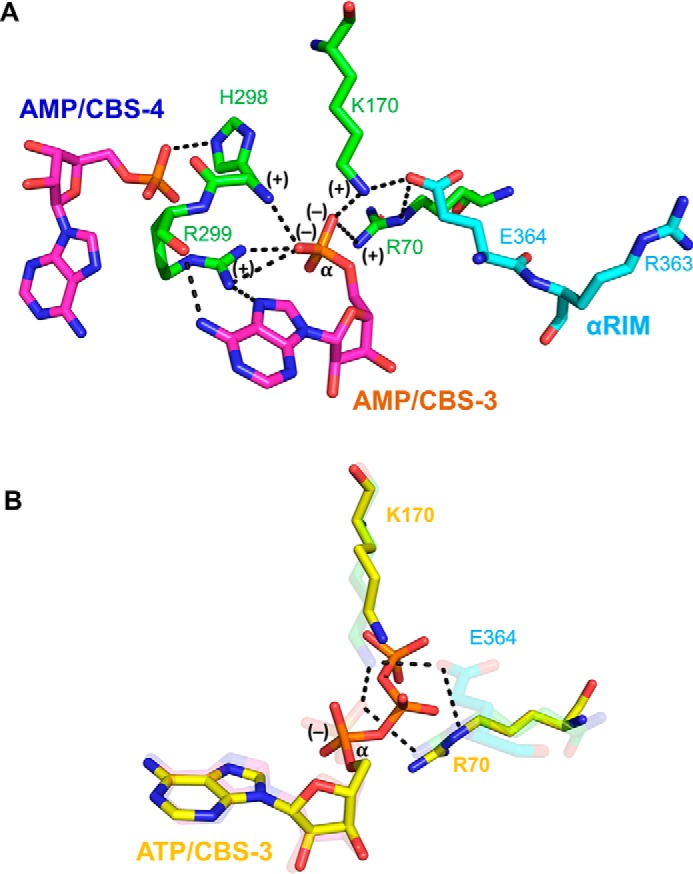 Figure 11.