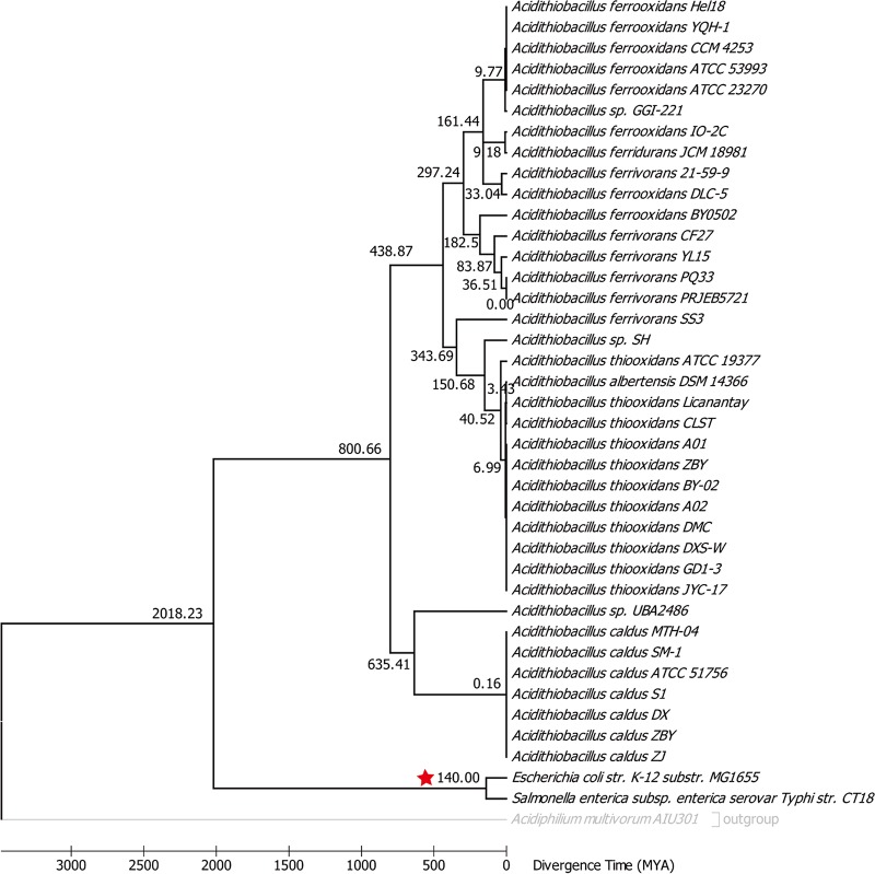 FIG 2