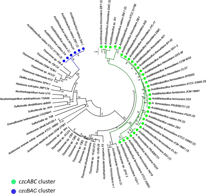 FIG 6