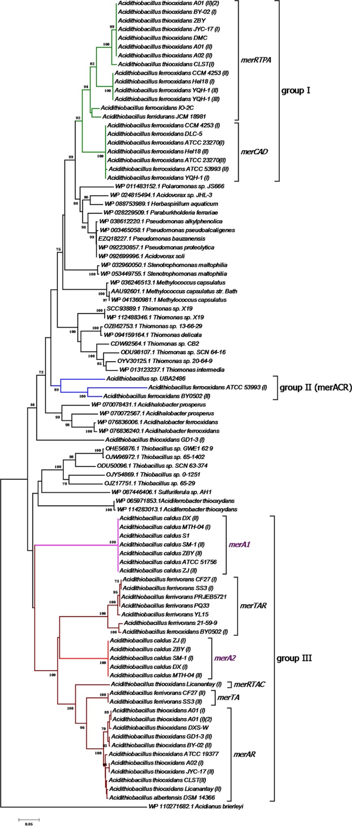 FIG 3