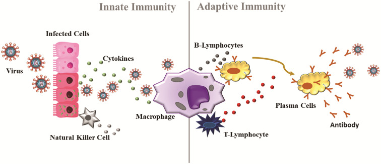 Graphical Abstract