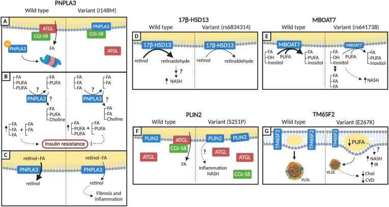 Figure 3