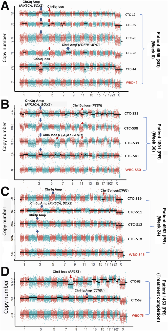 Figure 6