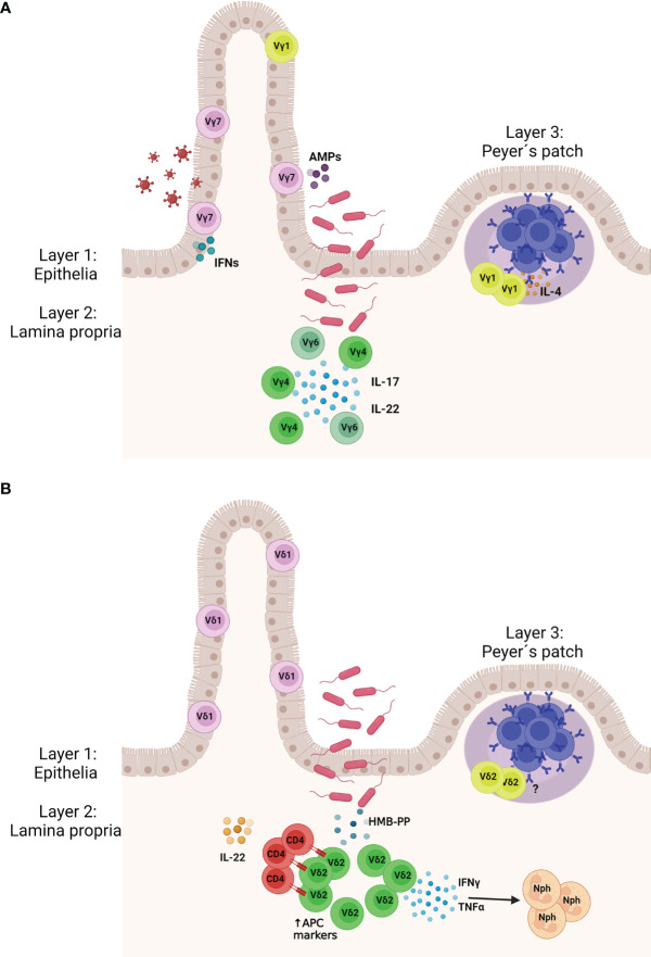 Figure 1