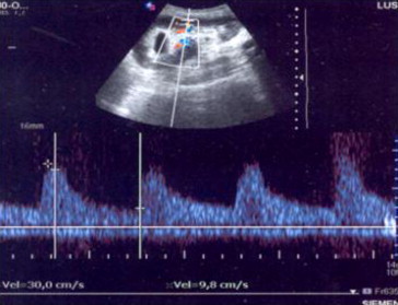 Fig. 7