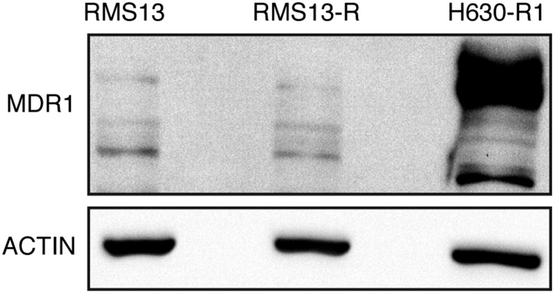 Fig. S6.