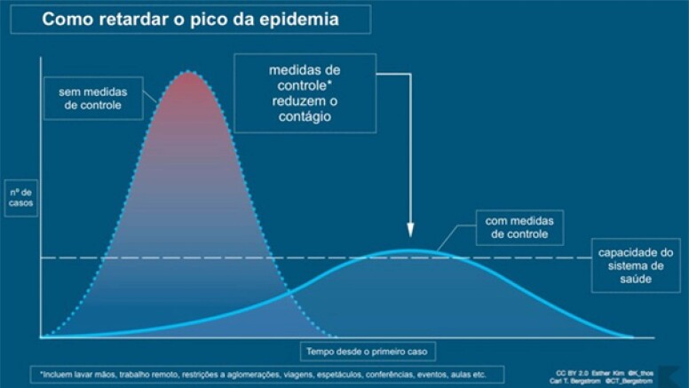 Figura 1