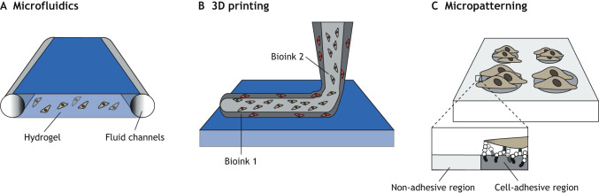 Box 1. Combining hydrogels with other bioengineering technologies