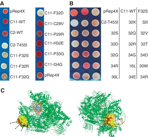 Figure 6.