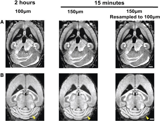 Figure 4