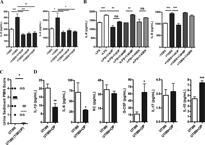 FIG 6 