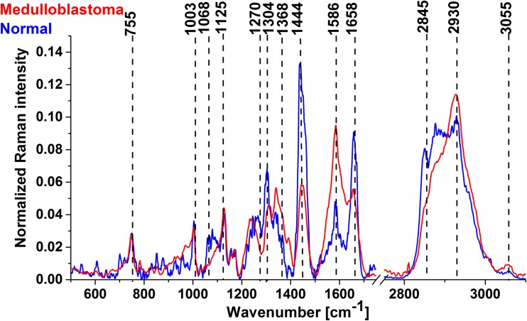 Fig. 3