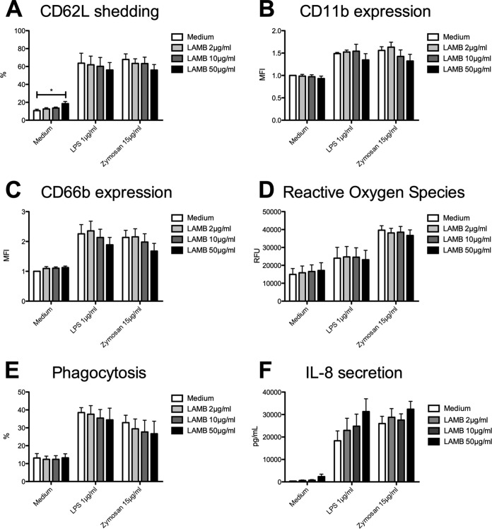 FIG 6