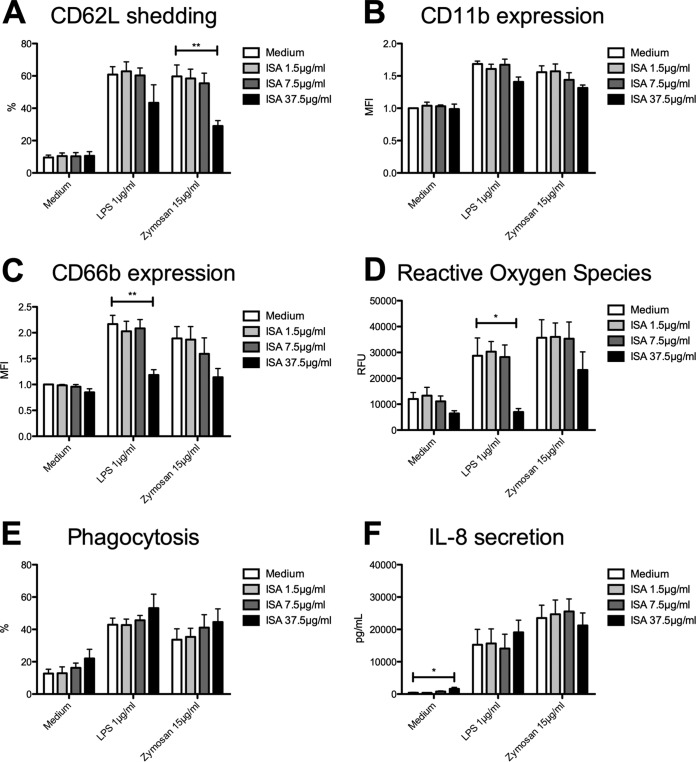 FIG 2