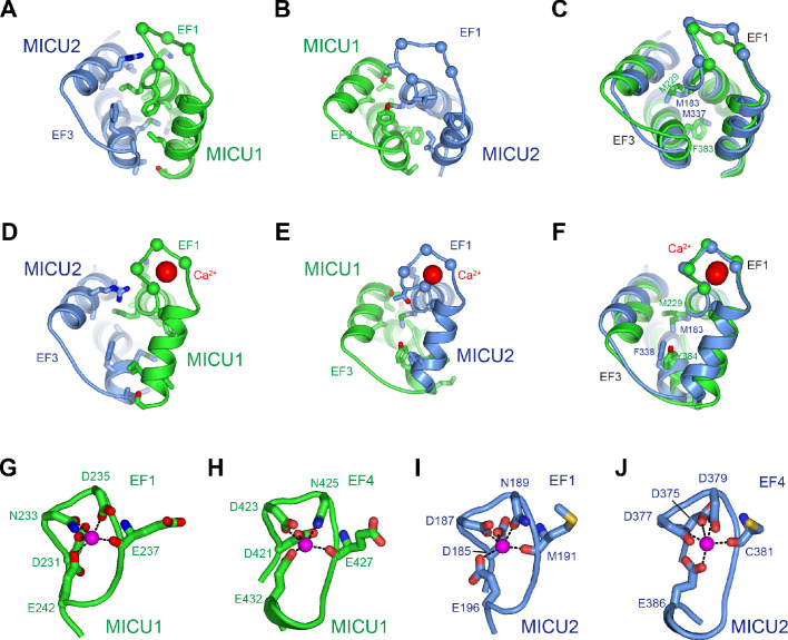 Figure 4—figure supplement 1.