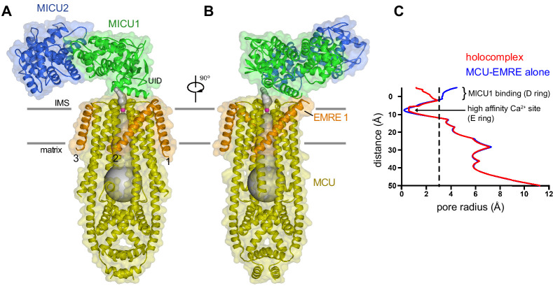 Figure 2.