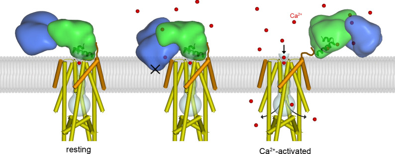 Figure 5.