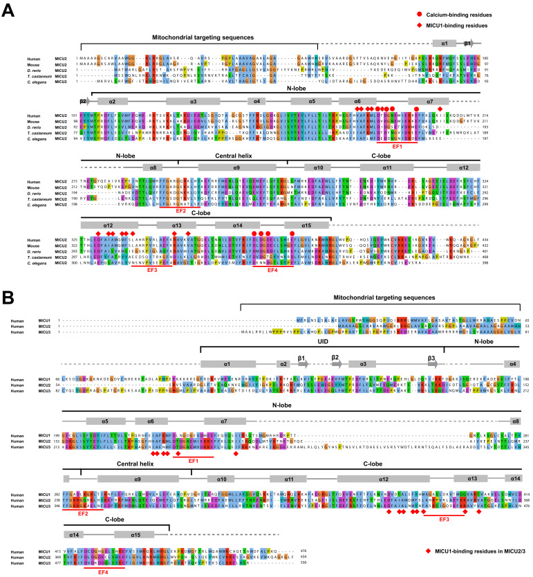 Figure 4—figure supplement 2.