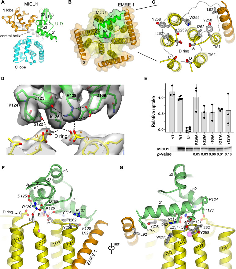 Figure 3.