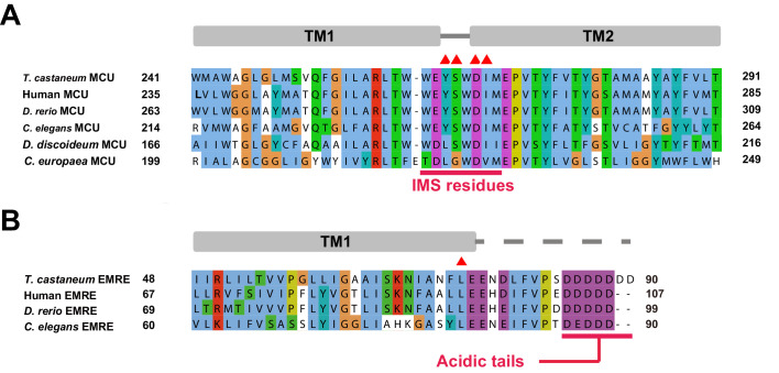 Figure 1—figure supplement 1.