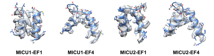 Figure 1—figure supplement 6.