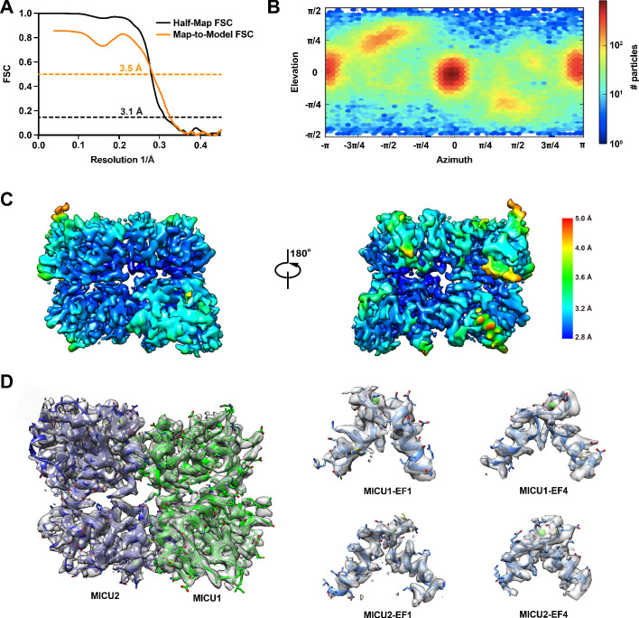 Figure 4—figure supplement 6.