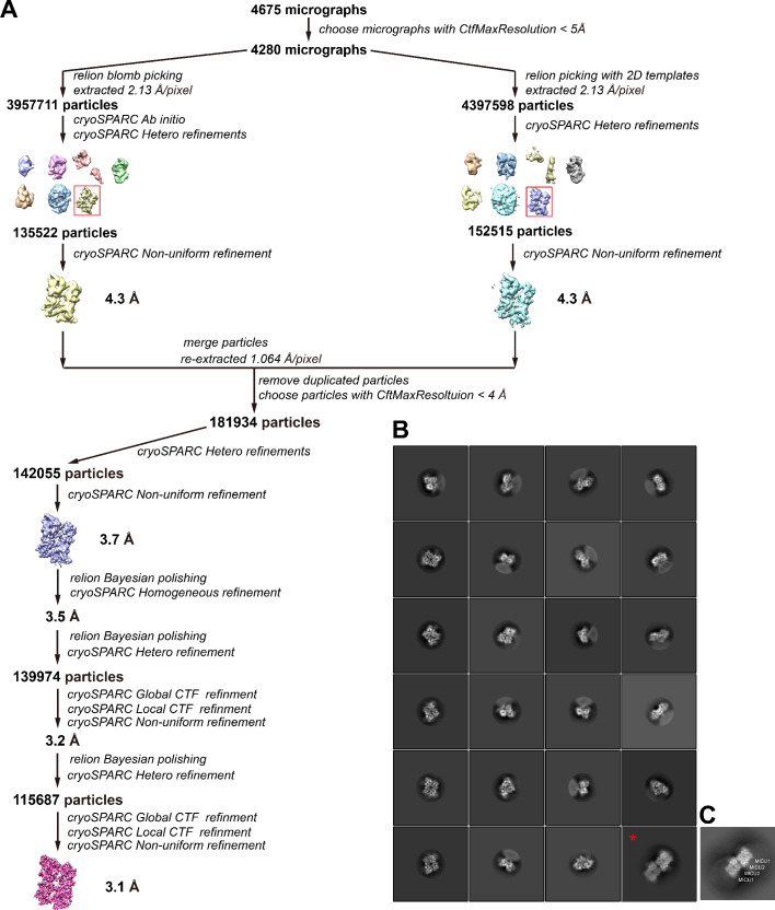 Figure 4—figure supplement 5.