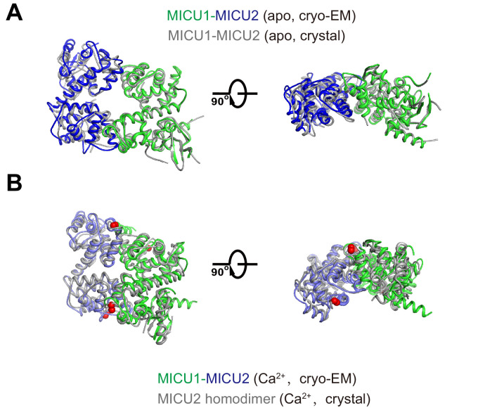 Figure 4—figure supplement 3.