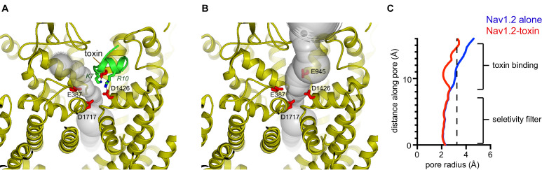 Figure 3—figure supplement 6.