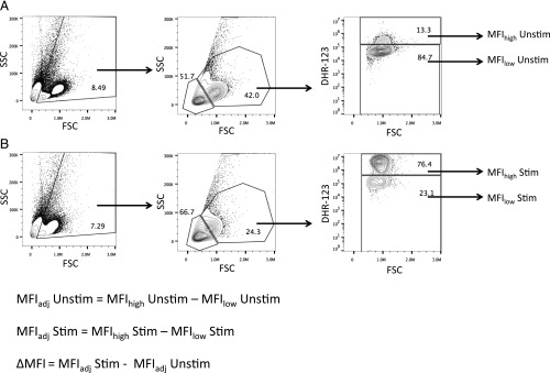 Fig. S8.