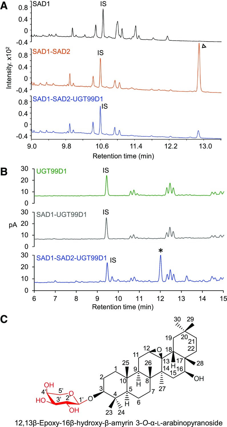 Figure 4.