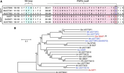 Figure 6.