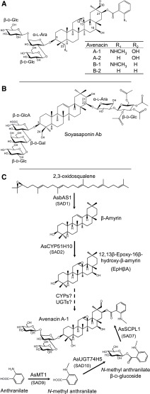 Figure 1.