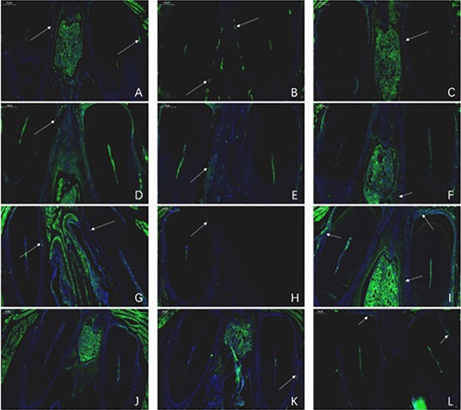 Figure 16