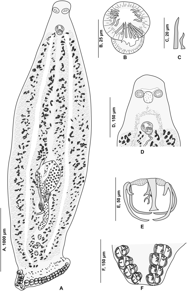 Fig. 4