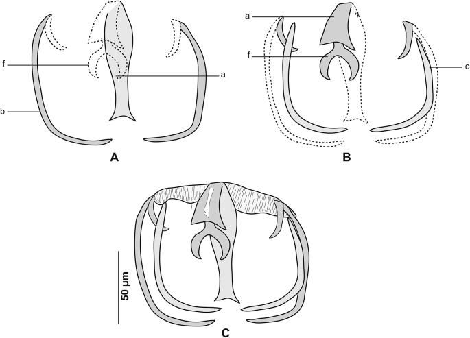 Fig. 6