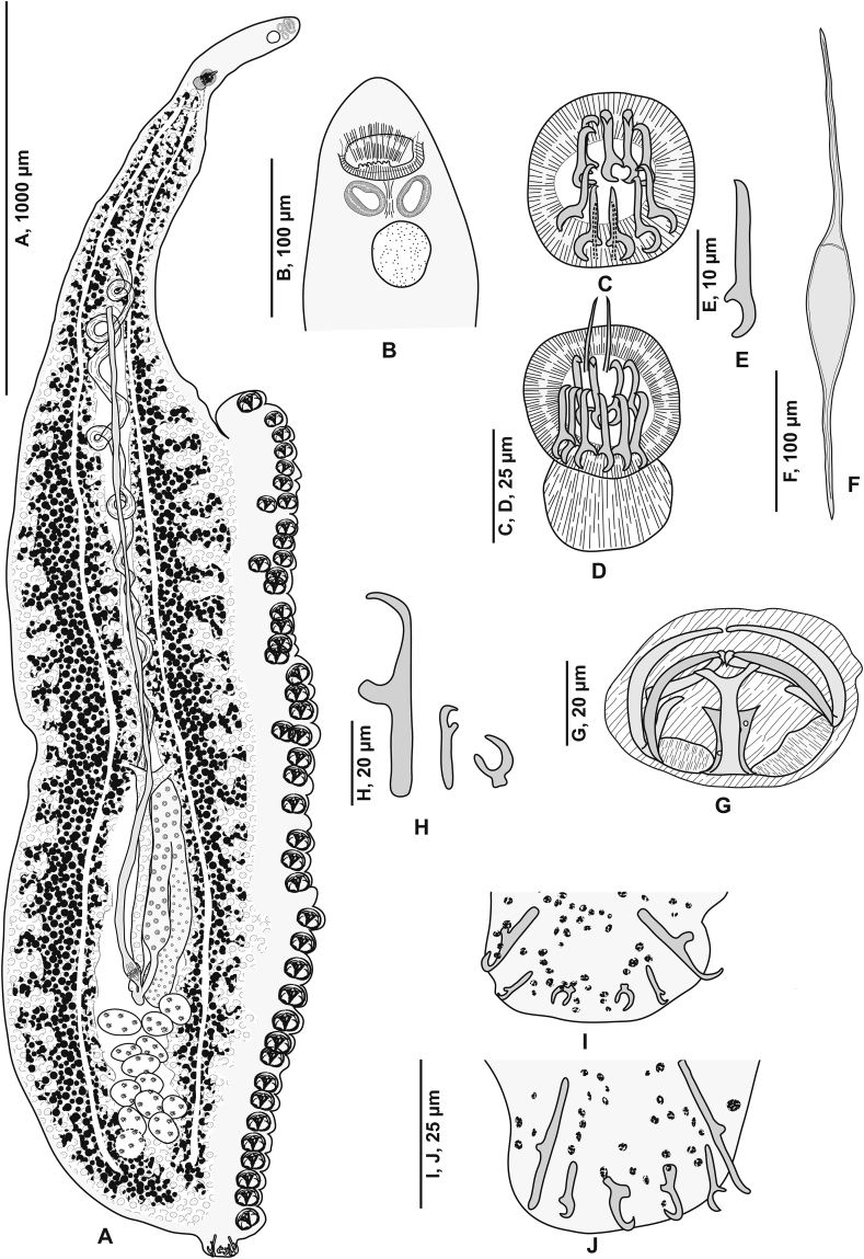 Fig. 1