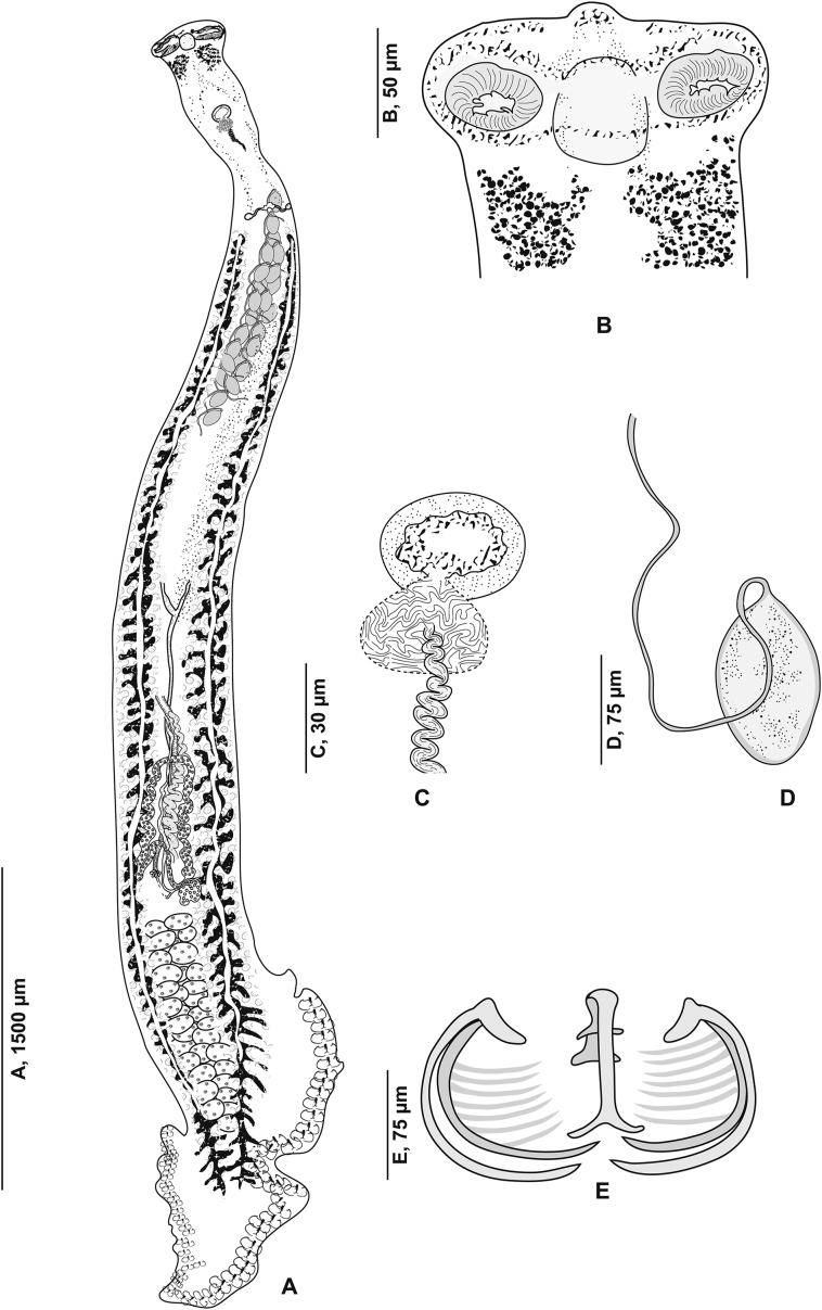 Fig. 7