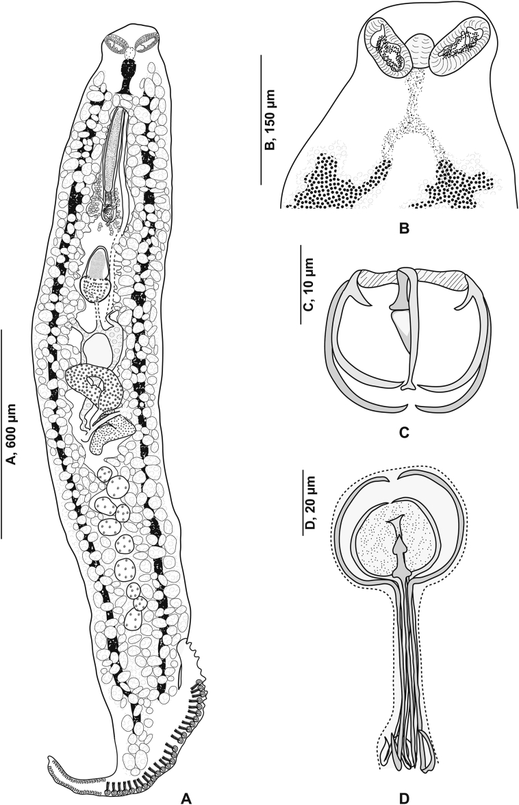 Fig. 11