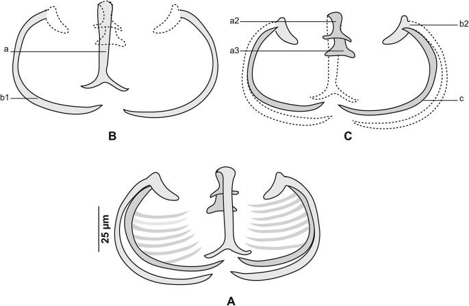 Fig. 10