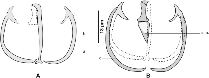 Fig. 16