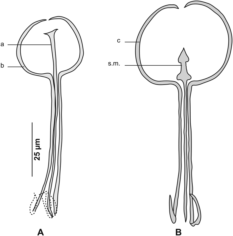 Fig. 15