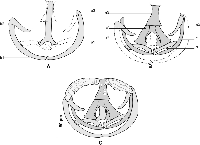 Fig. 3