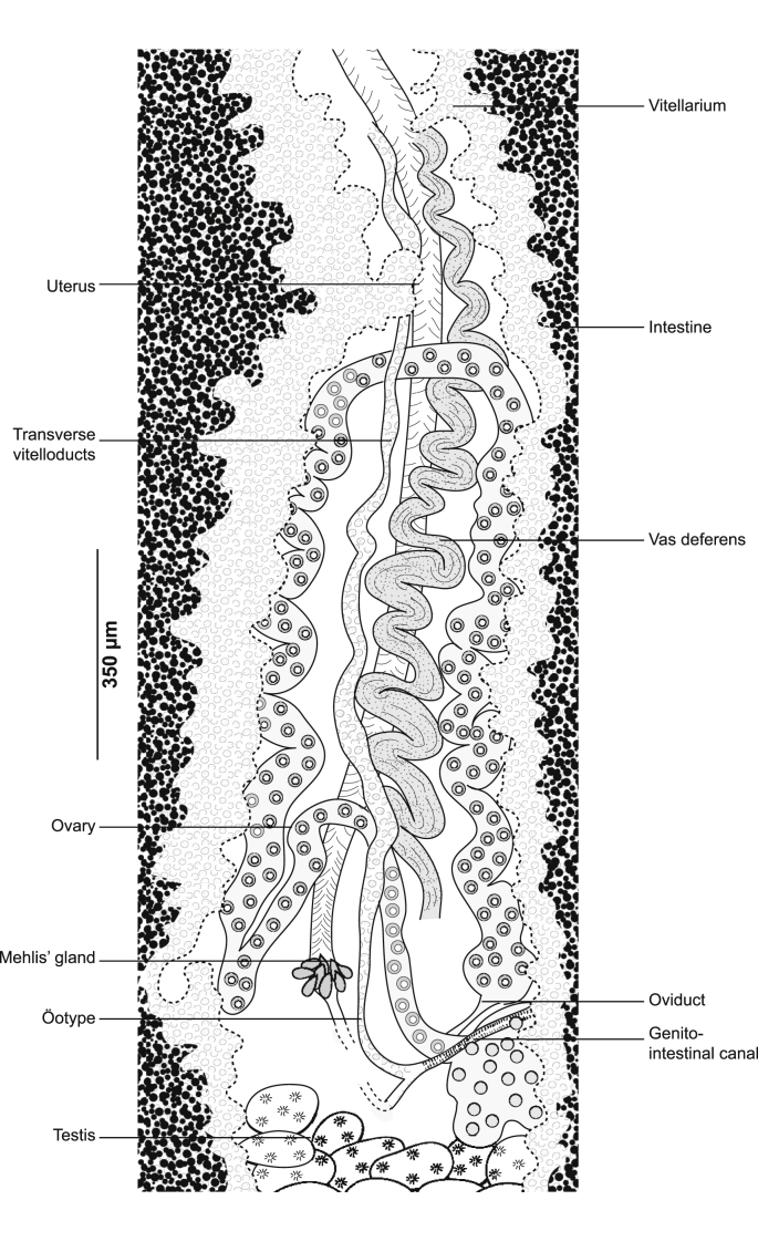 Fig. 9