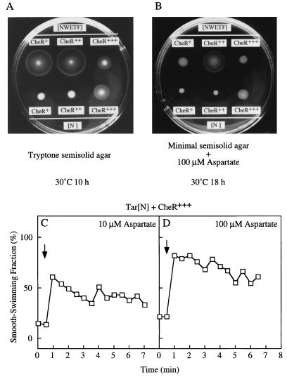 FIG. 7