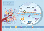 graphic file with name CTM2-14-e1738-g004.jpg