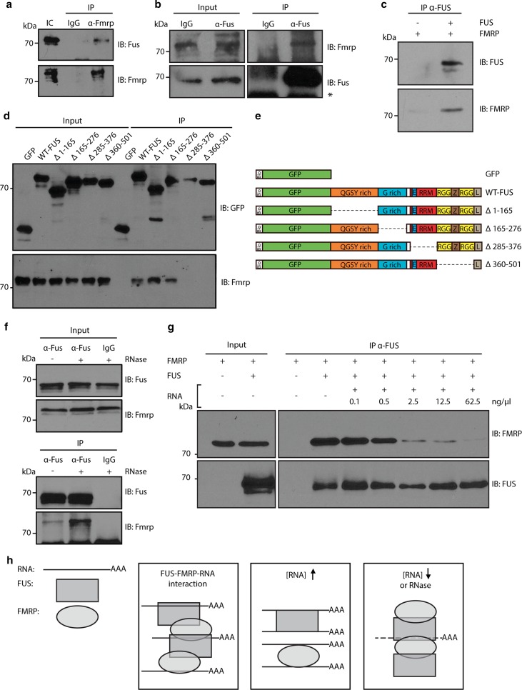 Fig. 6