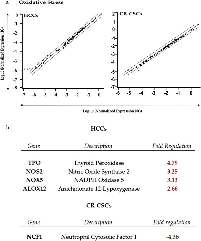 Figure 5